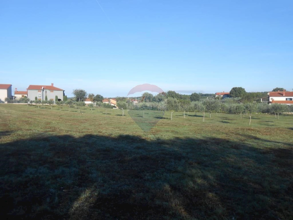 GALIŽANA