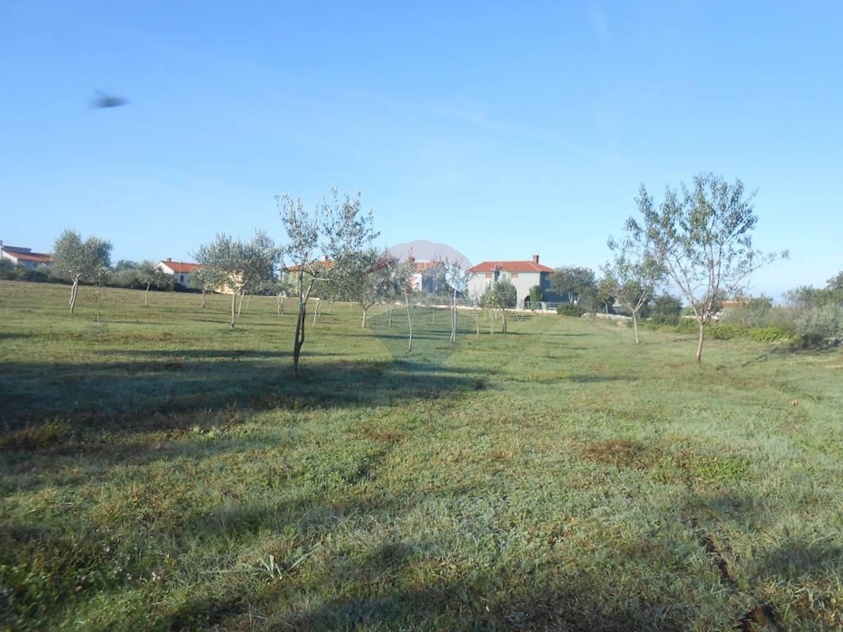 GALIŽANA