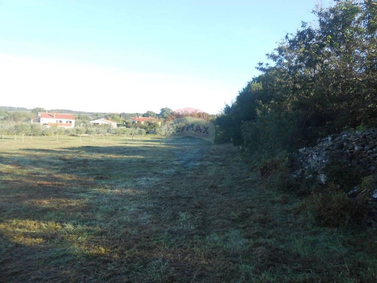 GALIŽANA