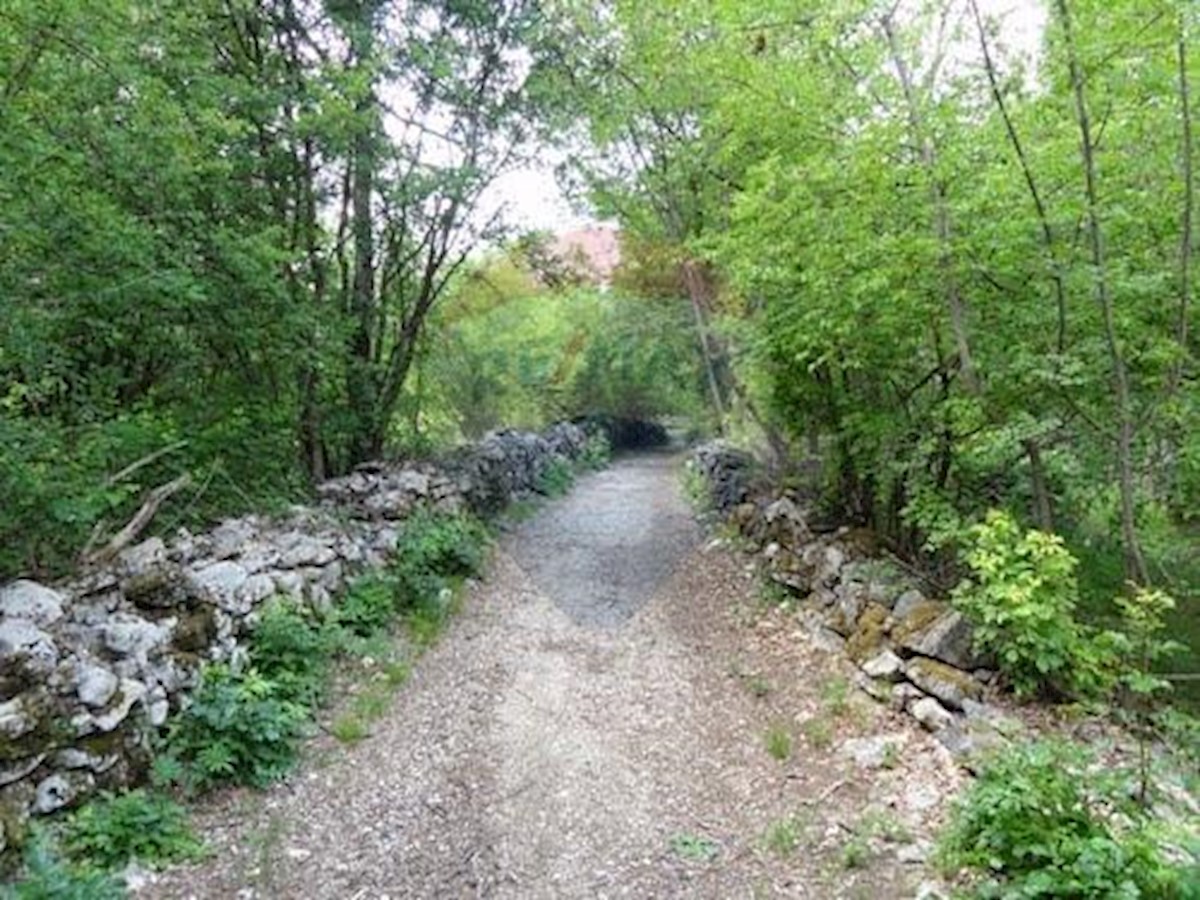 MARČELJI
