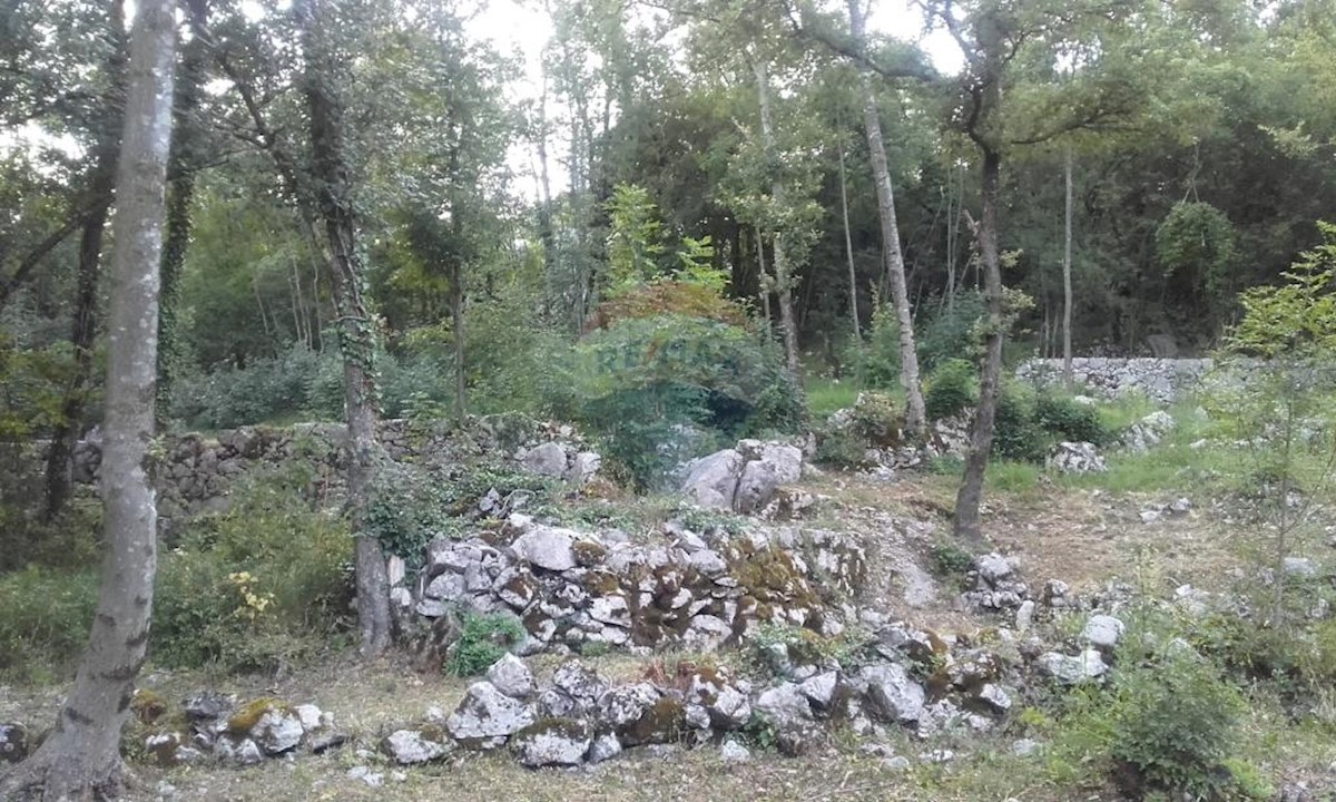RUKAVAC
