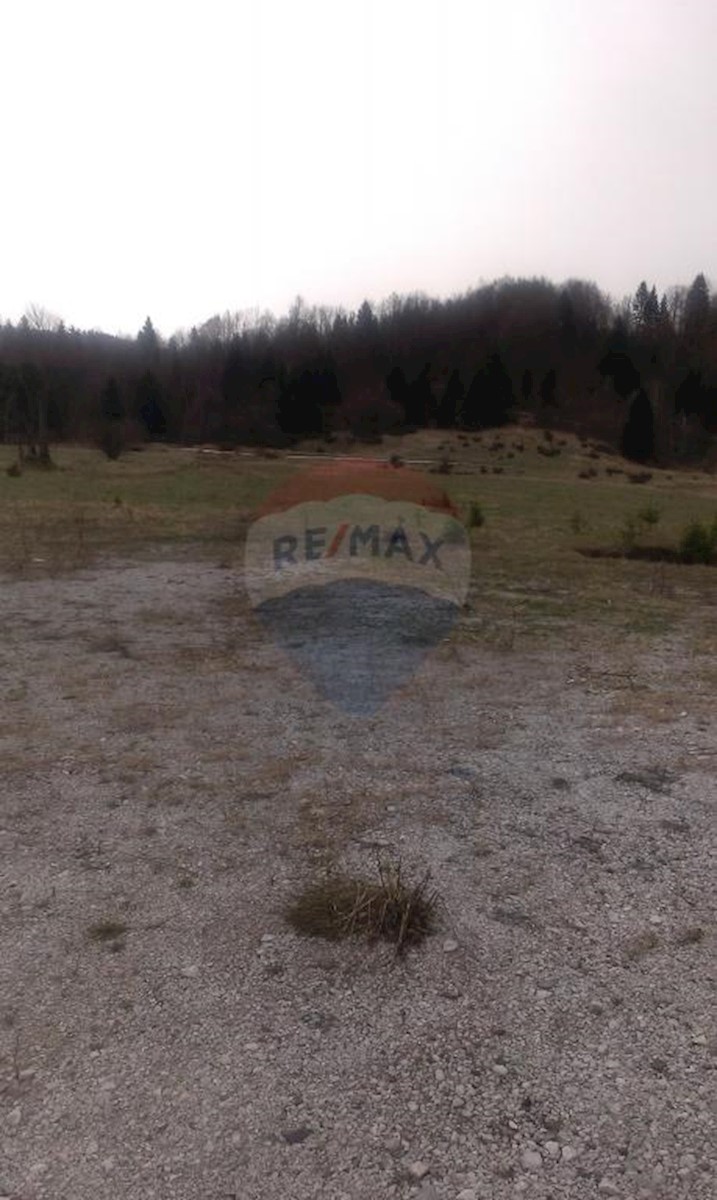 HLEVCI
