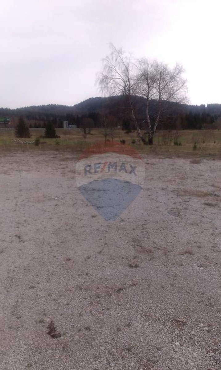 HLEVCI