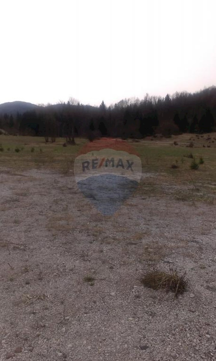 HLEVCI
