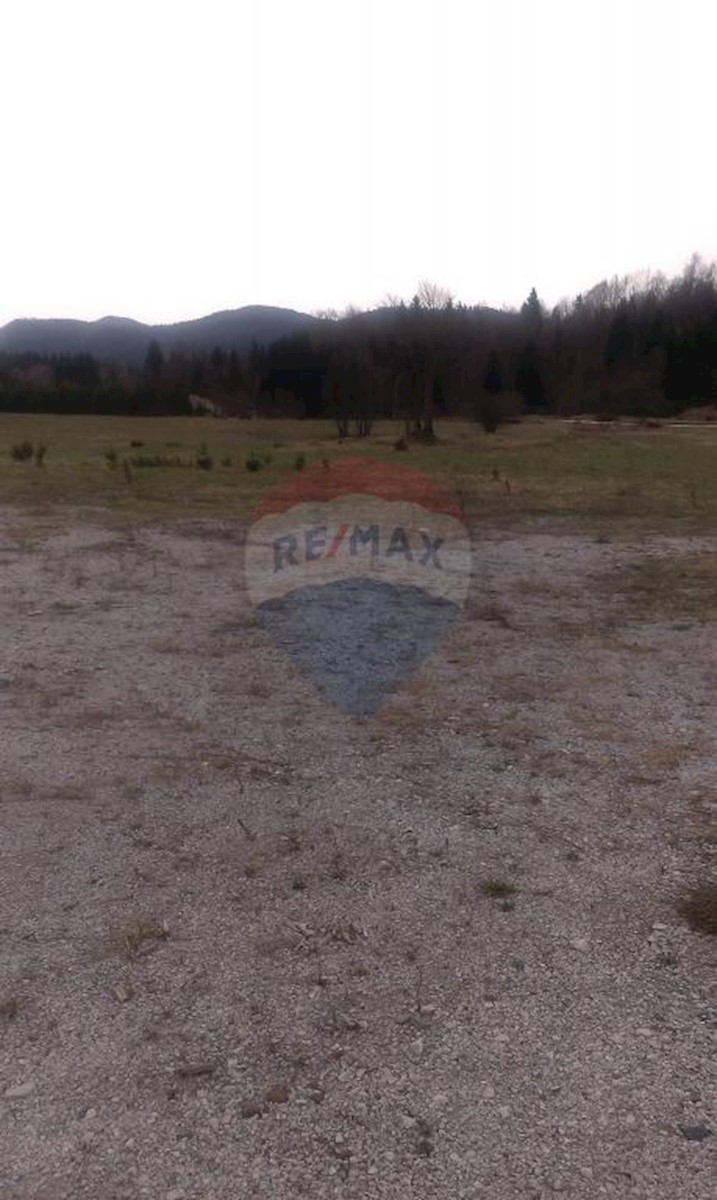 HLEVCI