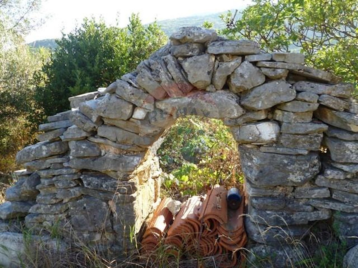 BRSEČ