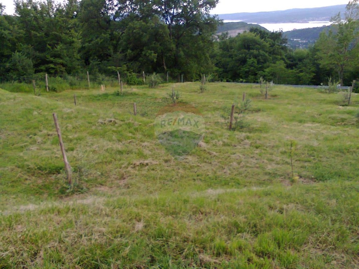 GRIŽANE