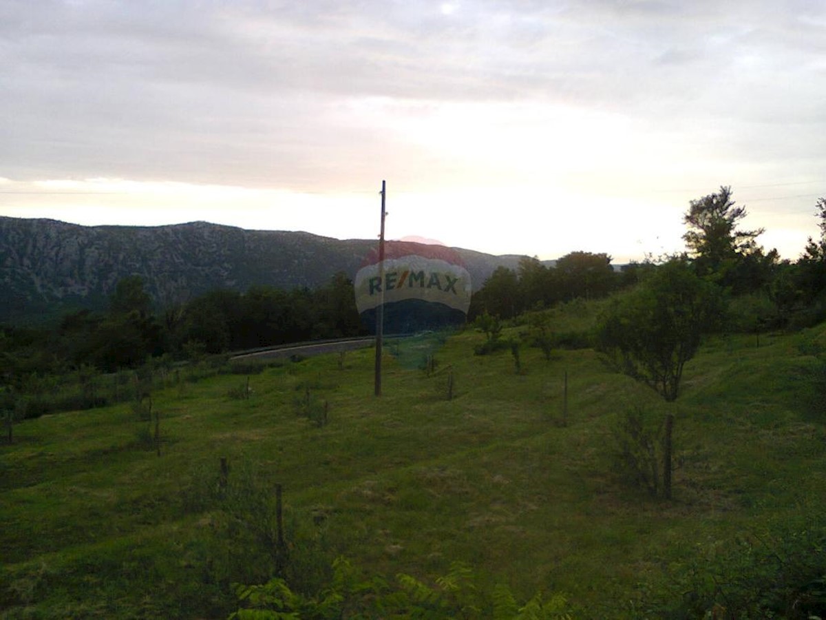 GRIŽANE