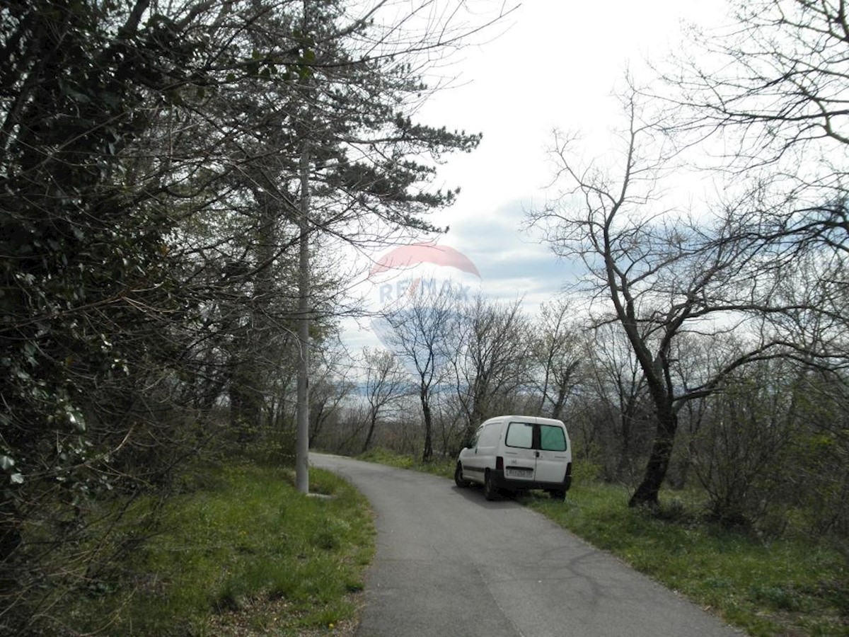 KOZALA