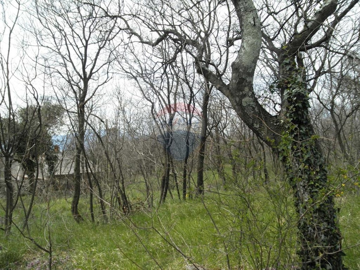 KOZALA