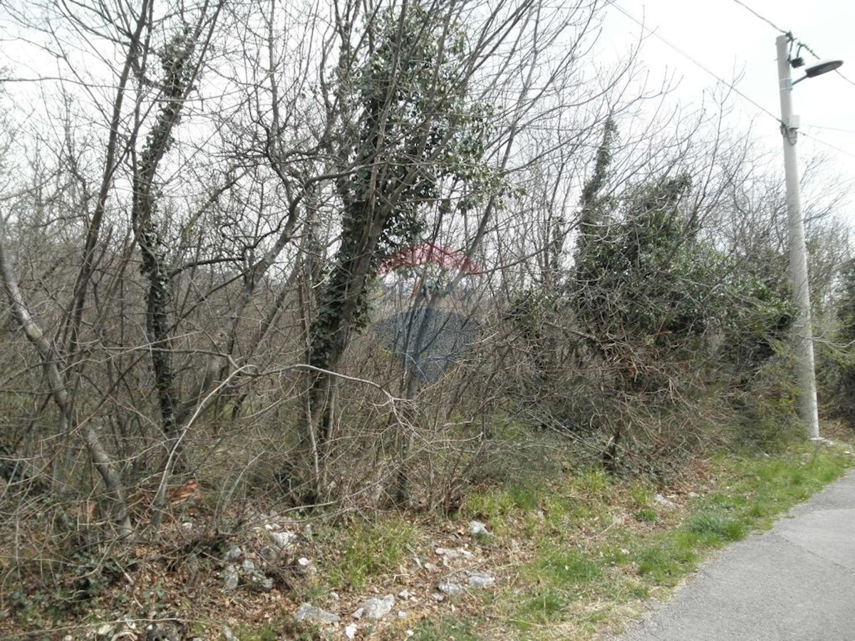 KOZALA