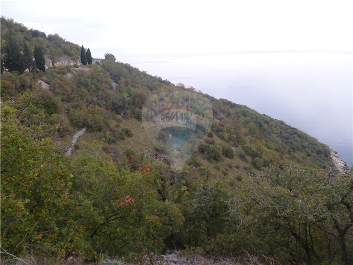 BRSEČ