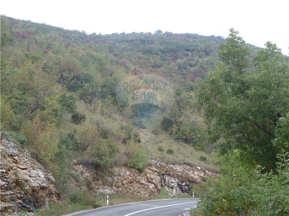 BRSEČ