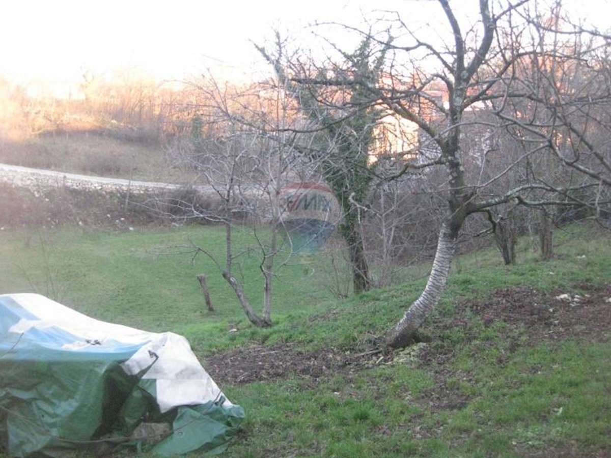 MARČELJI