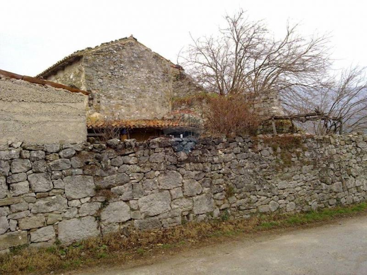 ROČ