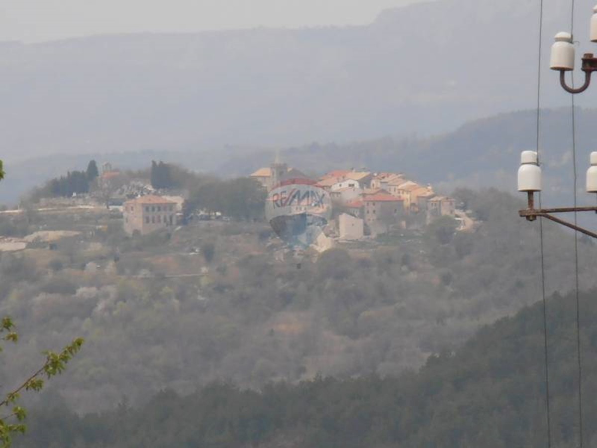 LESIŠĆINA