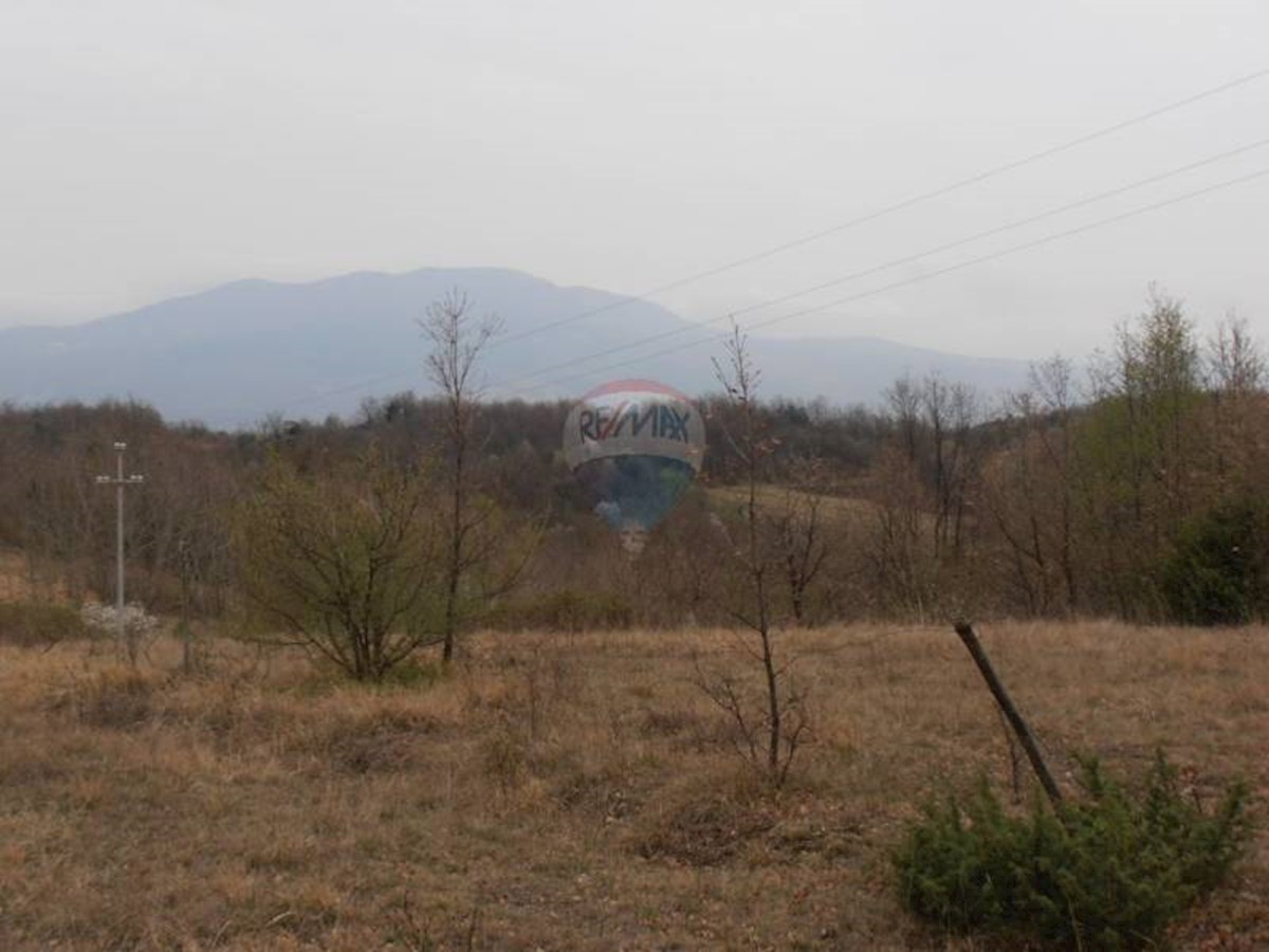 LESIŠĆINA