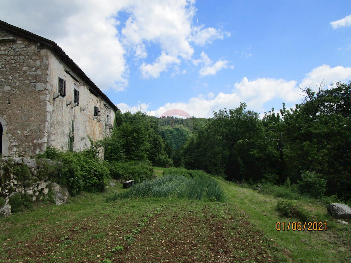 VEPRINAC