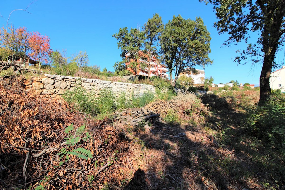 IČIĆI