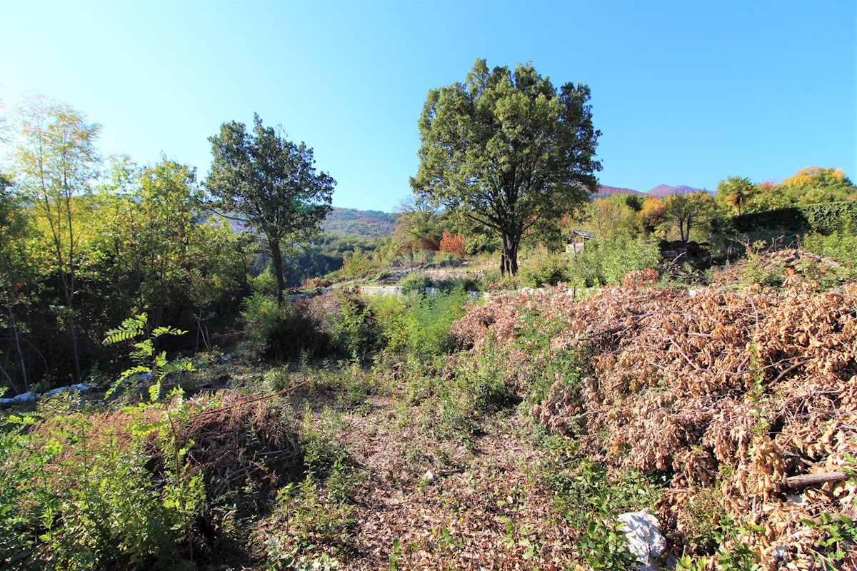 IČIĆI