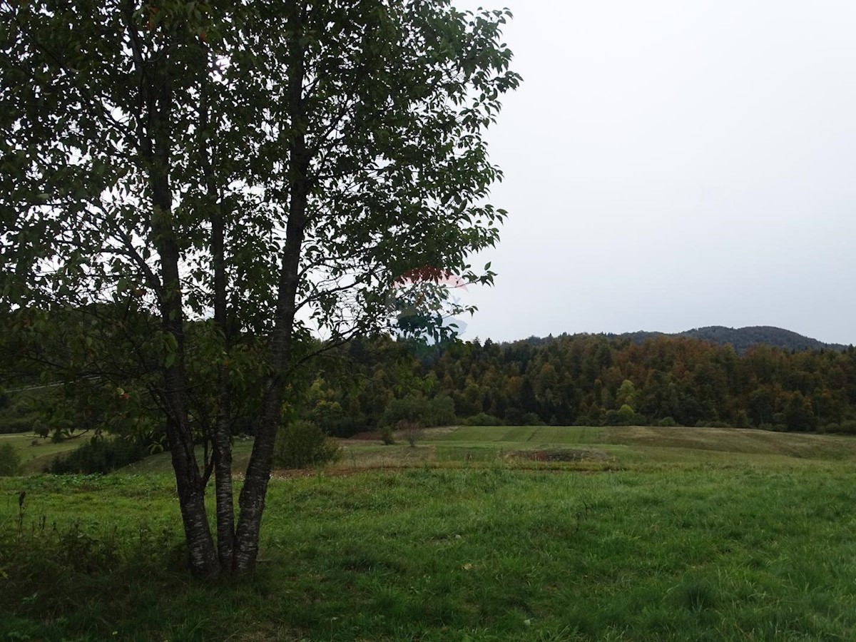 BEGOVO RAZDOLJE