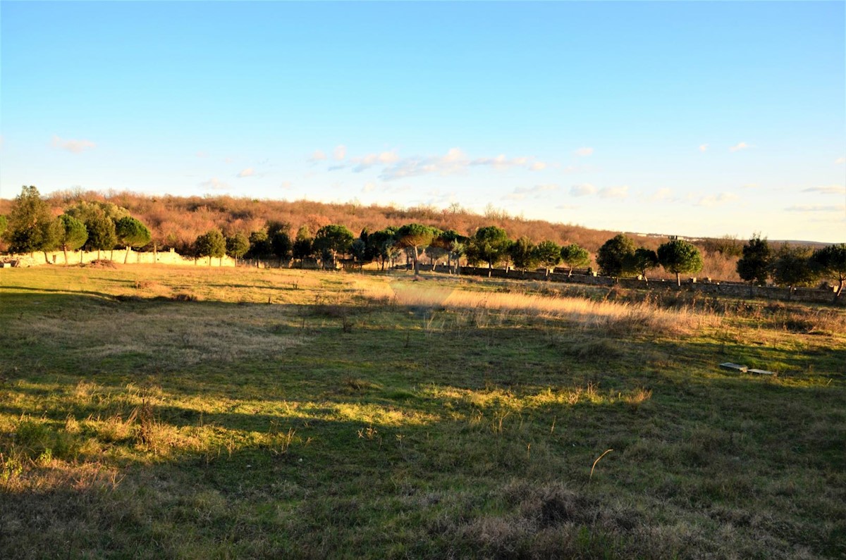 KANFANAR