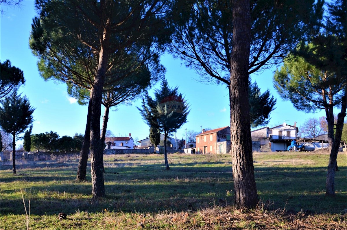 KANFANAR