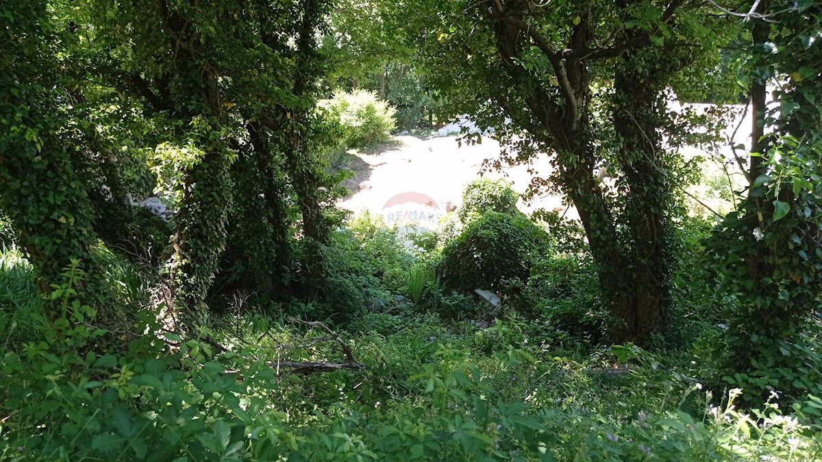 GRIŽANE