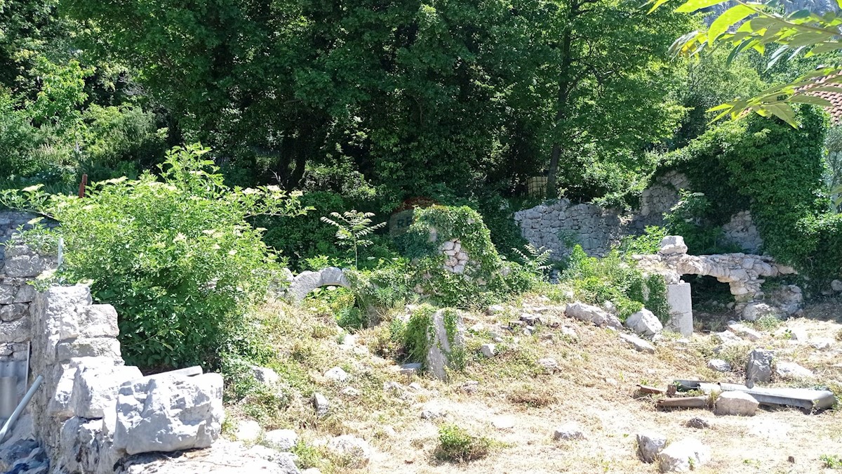 GRIŽANE