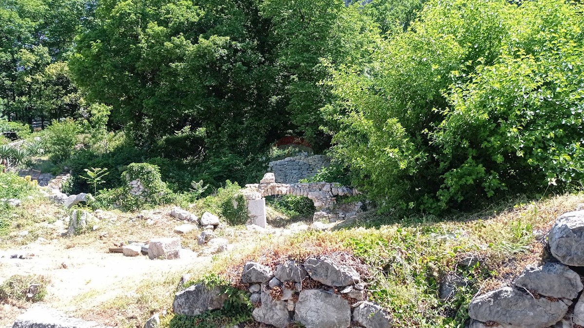 GRIŽANE