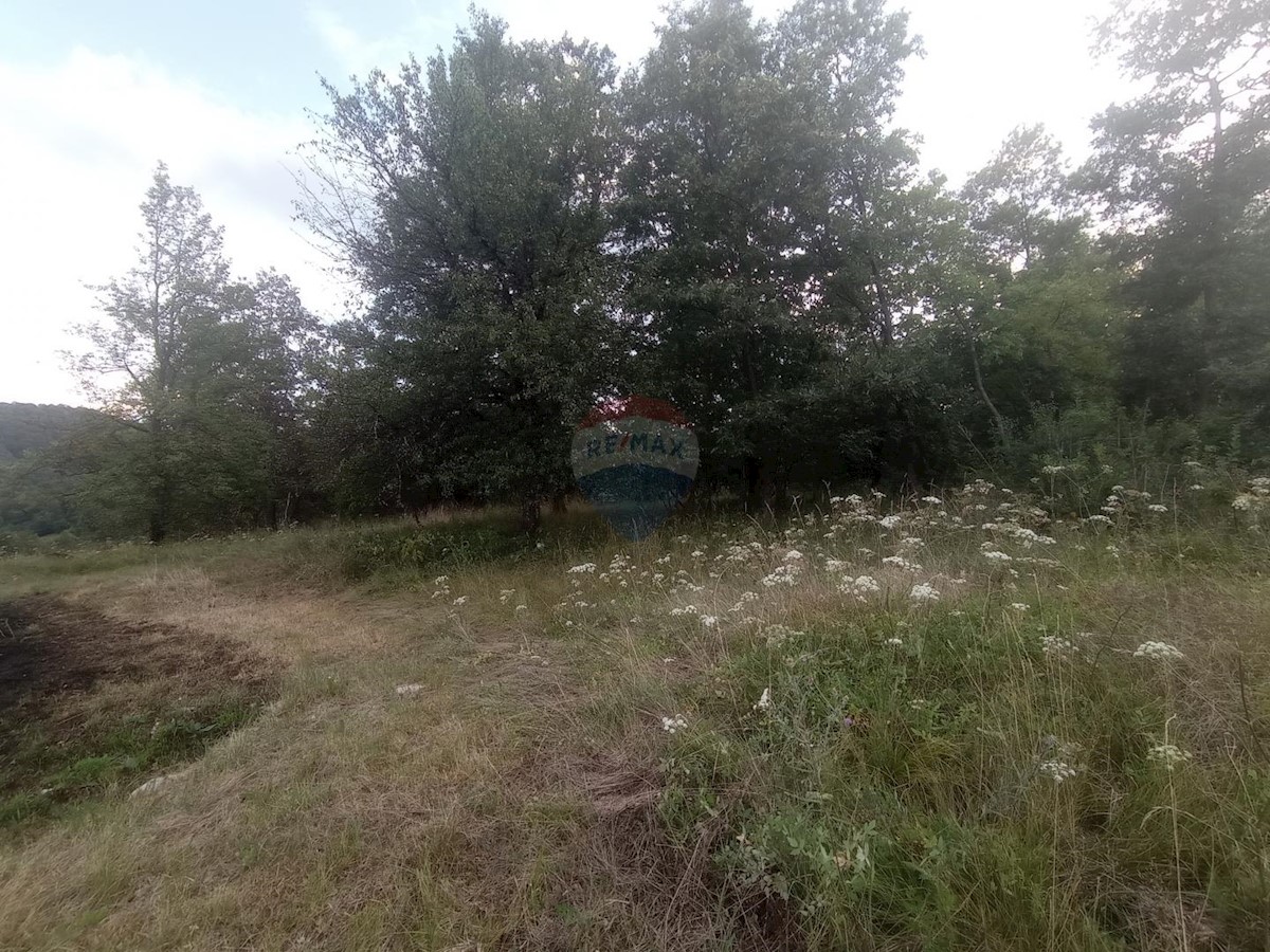GOMIRJE