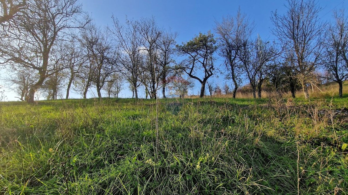 VRBOVSKO