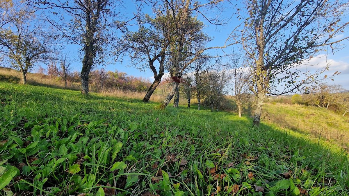 VRBOVSKO