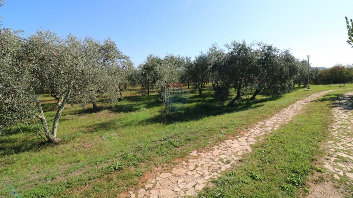 BRTONIGLA