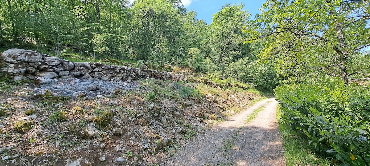MATULJI