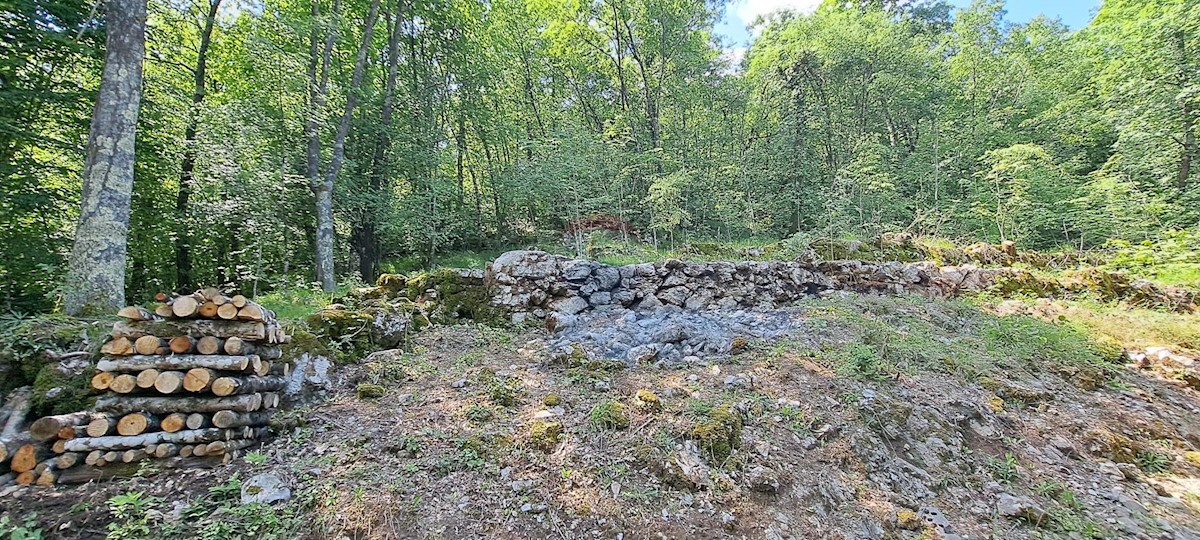 MATULJI