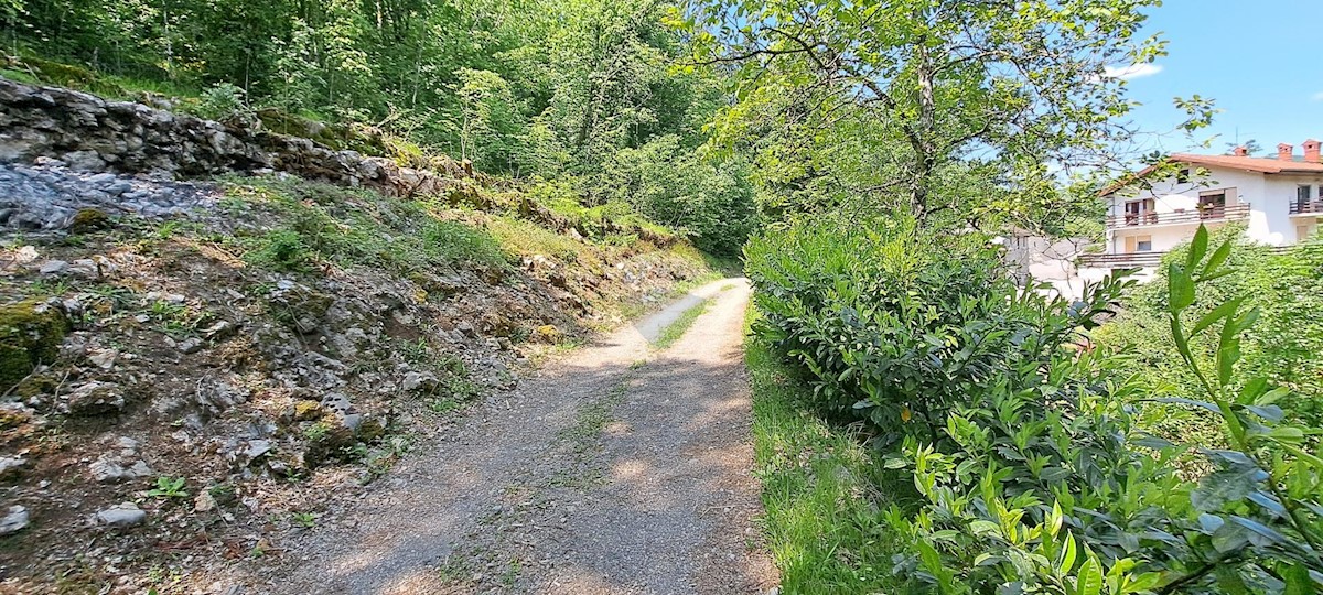 MATULJI