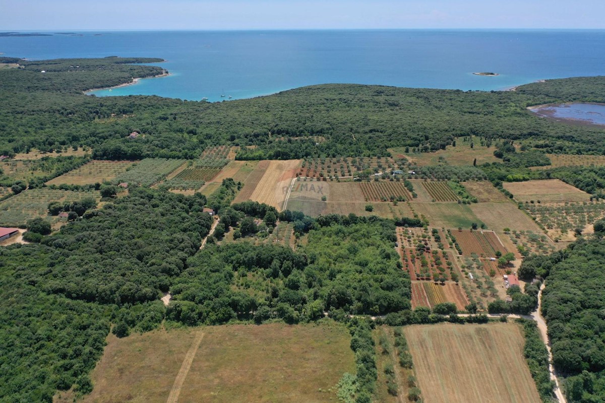 ROVINJ