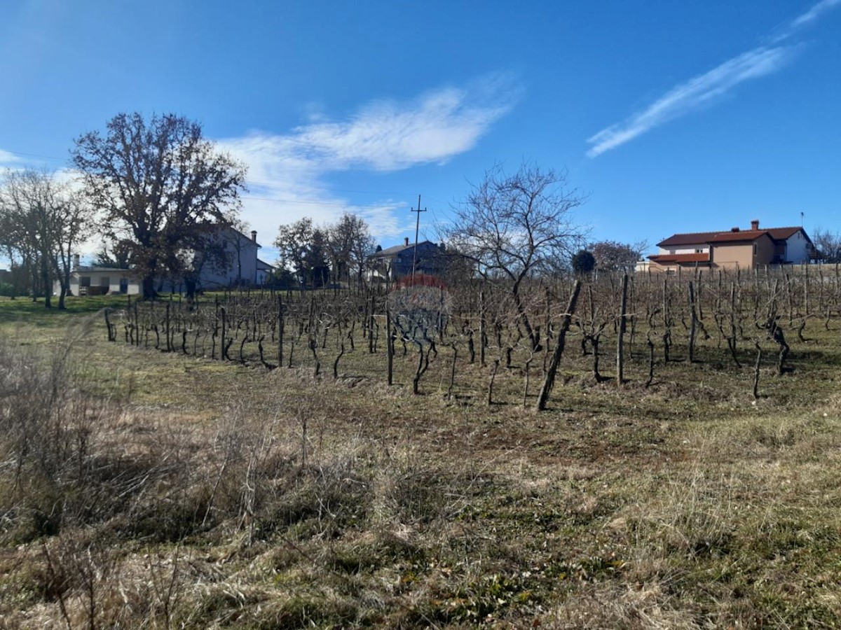 NOVAKI MOTOVUNSKI