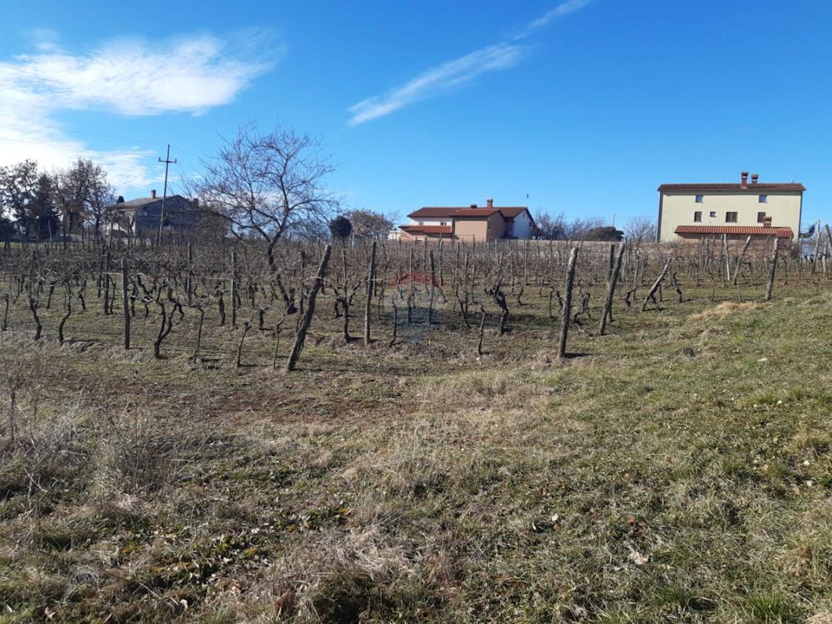NOVAKI MOTOVUNSKI