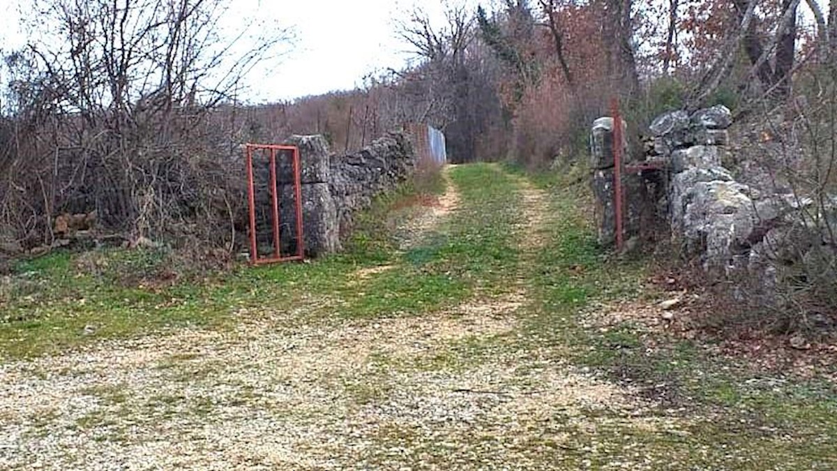 LINARDIĆI