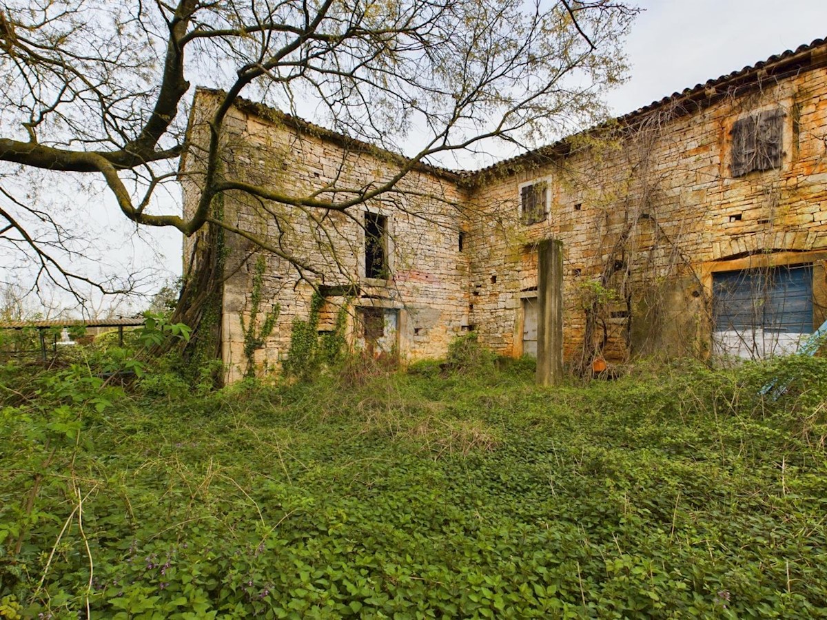 BADERNA