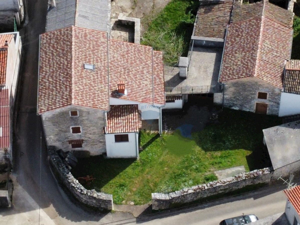 ŽMINJ