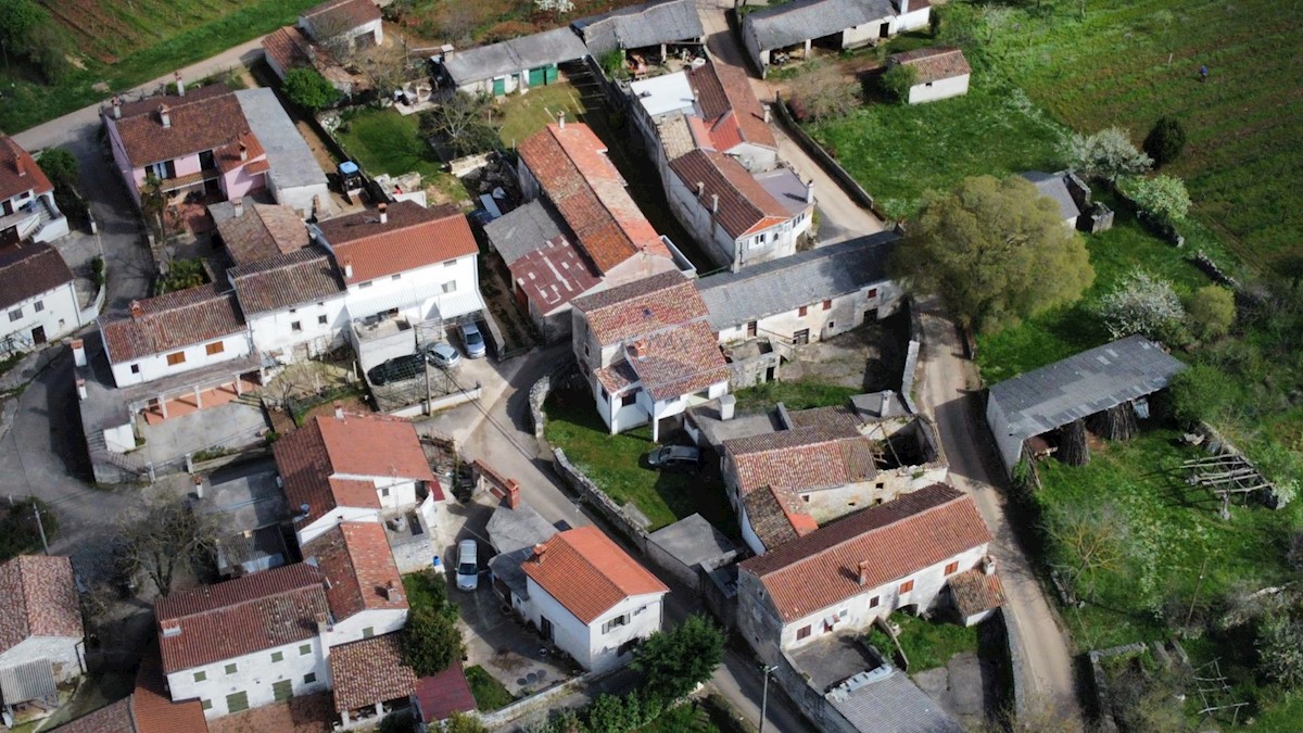 ŽMINJ