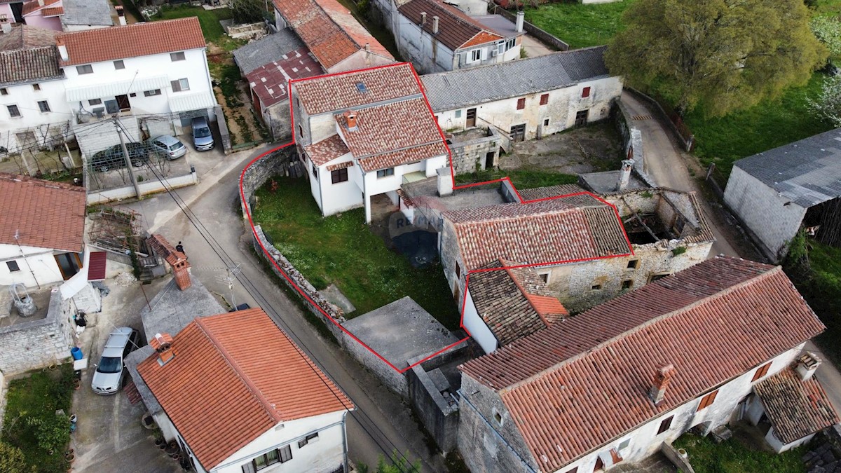 ŽMINJ