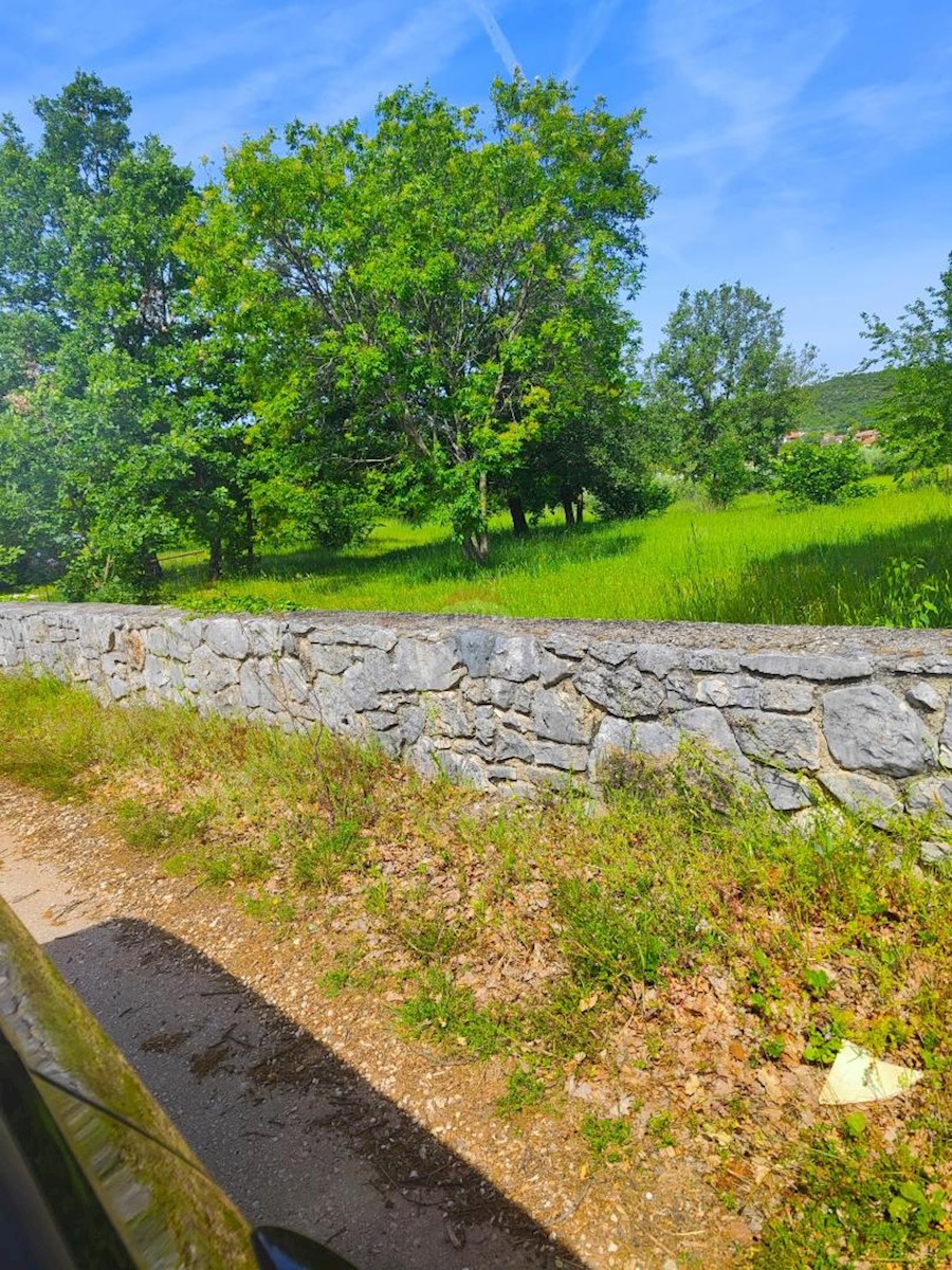 ŠORIĆI