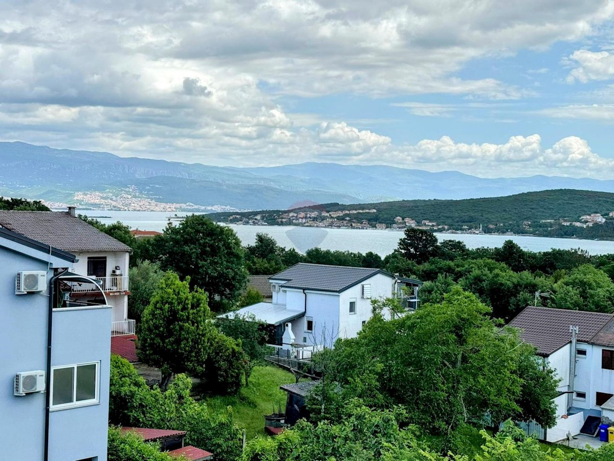 ČIŽIĆI