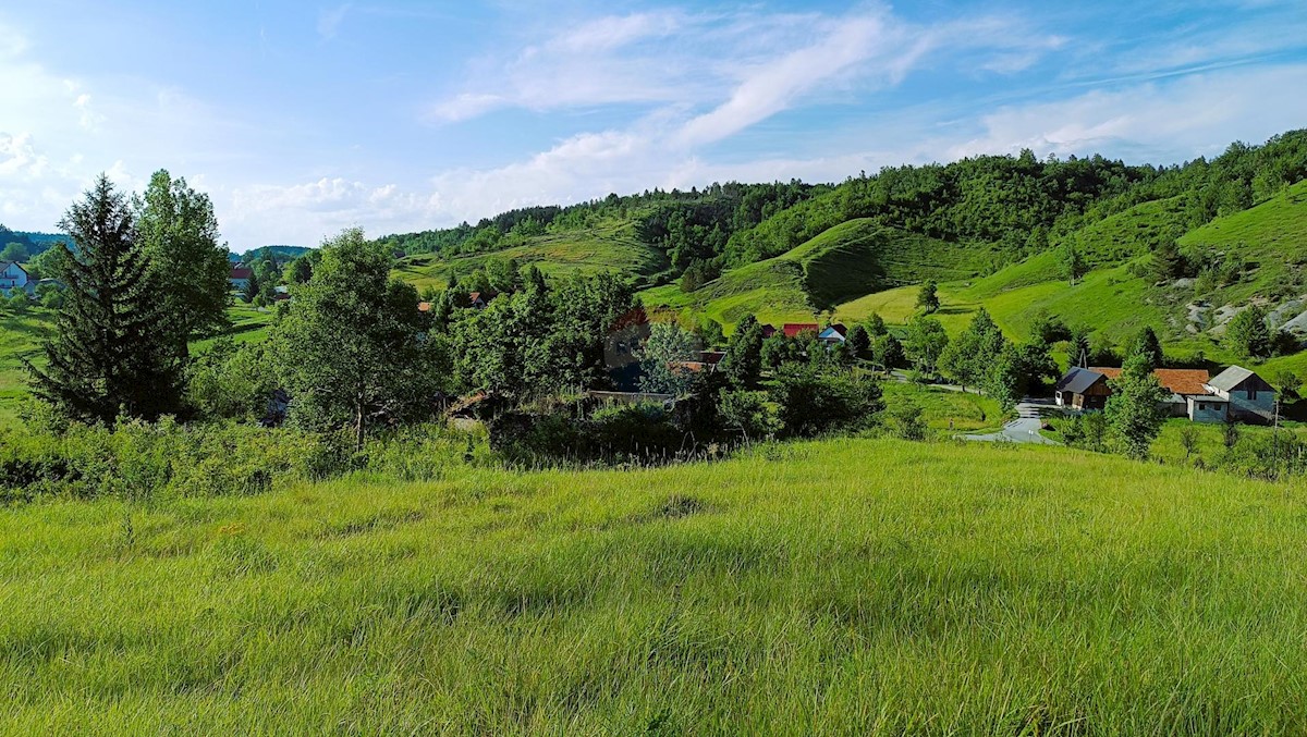 SABLJAKI MODRUŠKI