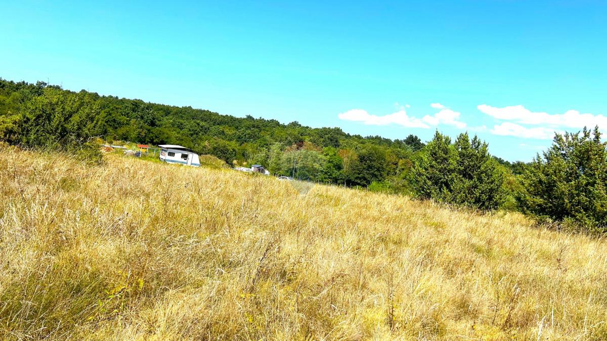 BUŽINIJA