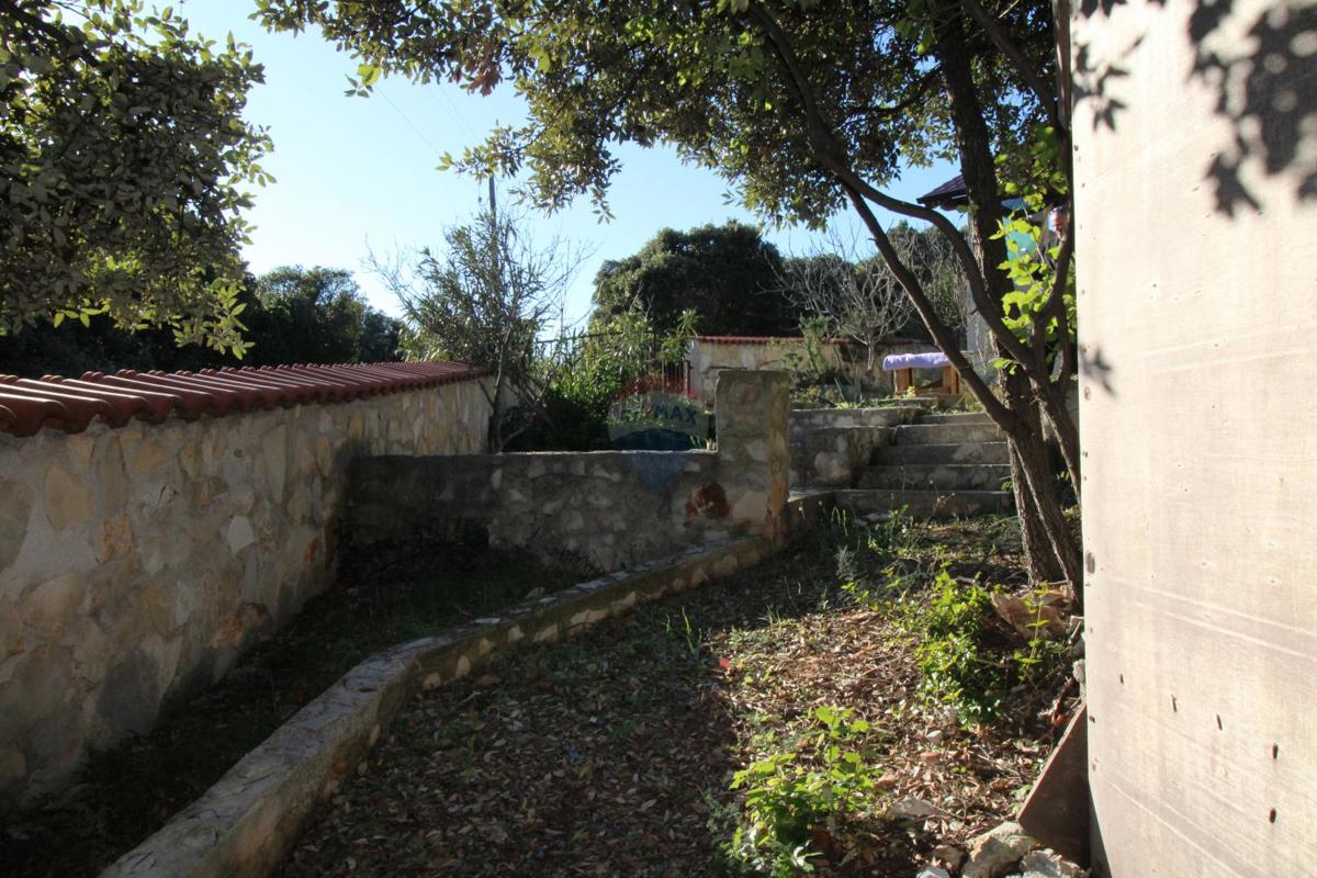 PAVIĆINI